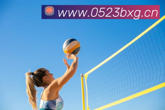 开云手机入口官网服务体系